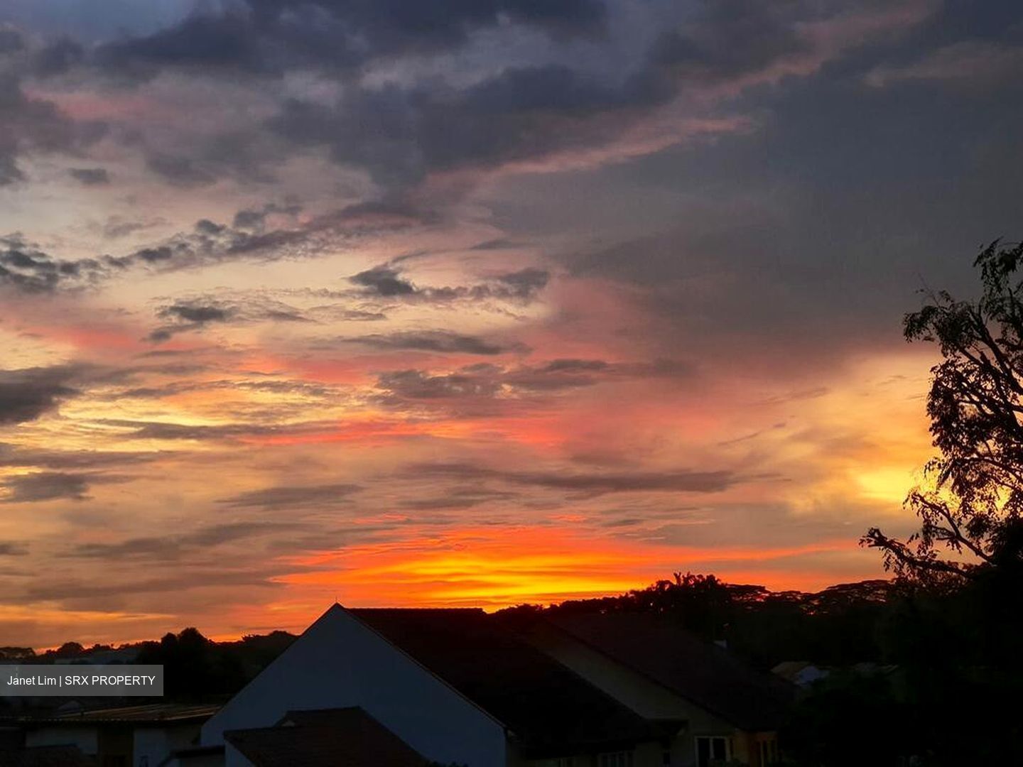 Sunrise Gardens (D28), Condominium #503878911